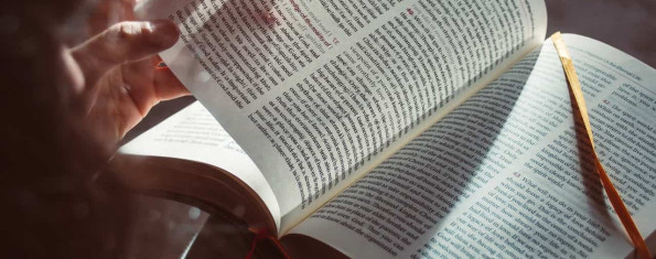 6 незамінних книг про створення організацій
