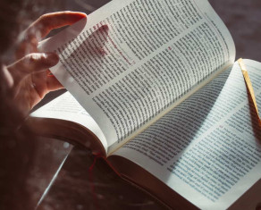 6 незамінних книг про створення організацій