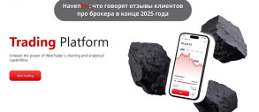 HavenBiz: що говорять відгуки клієнтів про брокера наприкінці 2025 року